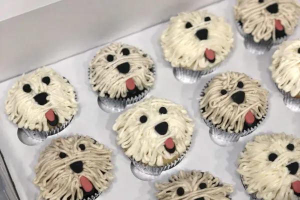 Pupcakes Custom Doggie Cupcakes Los Angeles Desserts